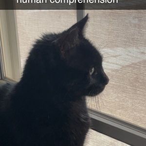 Meet your Posher, K.